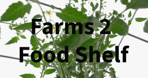 Farm to Food Shelf